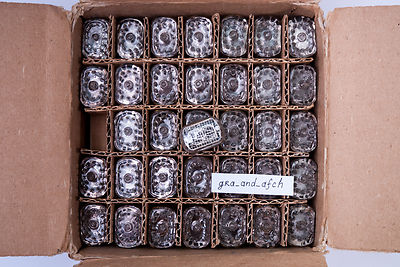 IN-12B Nixie Tubes NEW TESTED NOS xUSSR Excellent Condition 6 PCS SET