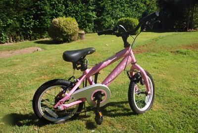 ridgeback honey bike