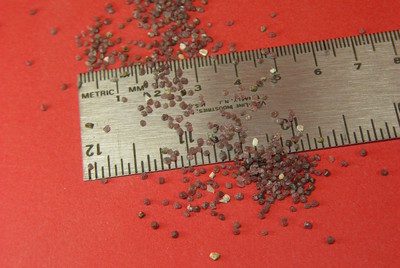 GARNET #16 -  Natural Ultra Coarse - 5-Cups - Blast Cabinet ABRASIVE BLAST MEDIA