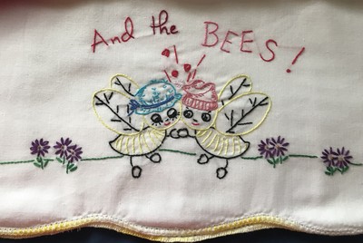 Birds Bees Hand Embroidered variegated Crochet Pair Pillow cases completed  PC49