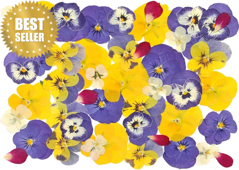 48 Pcs Mix Dried Pansy Flowers for Cake Topper Decoration, Dried Pressed Flowers