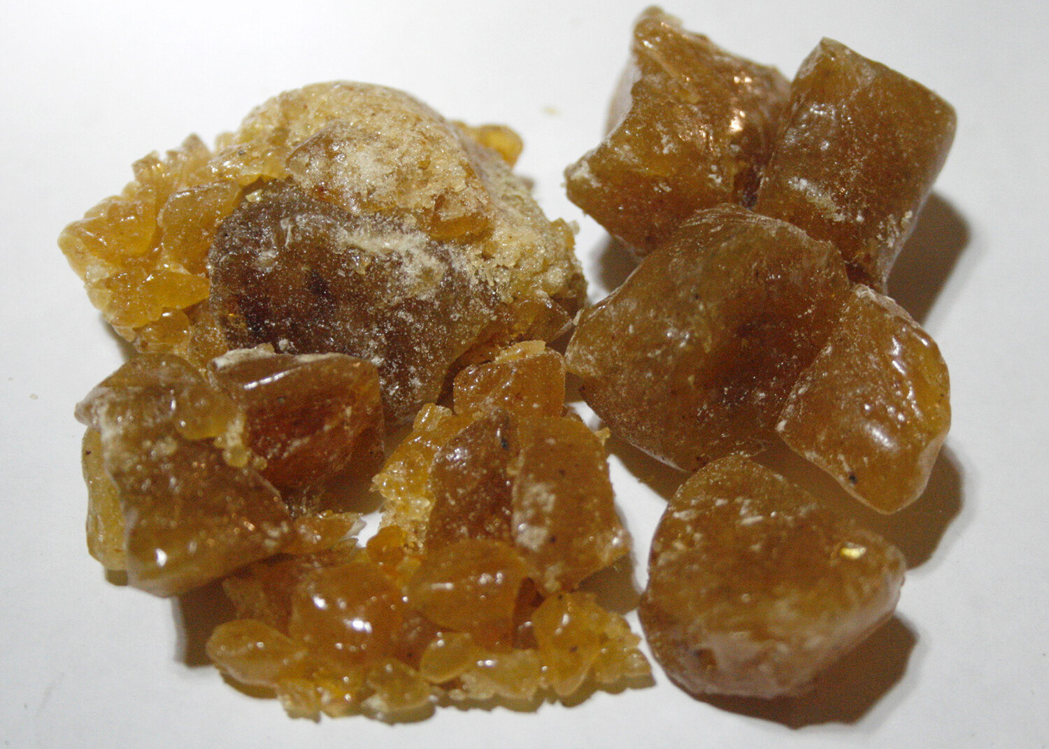 1lb CLARIFIED Lodgepole Pine Resin: Raw Organic Wildcrafted Pitch Sap