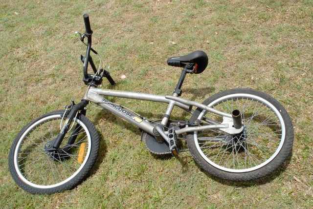 mongoose stylist pro