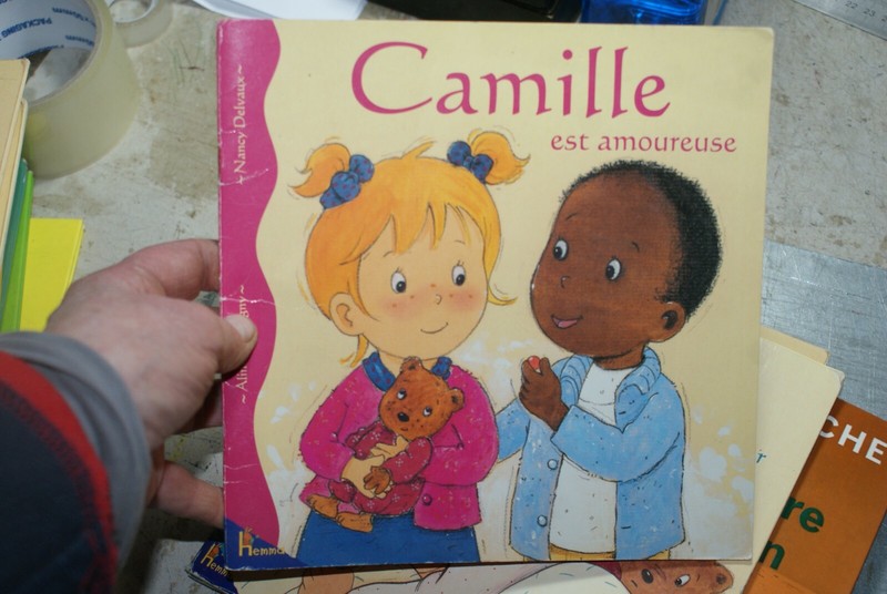 Camille Est Amoureuse De Aline De PÃ©Tigny | Livre | Ã©Tat Bon