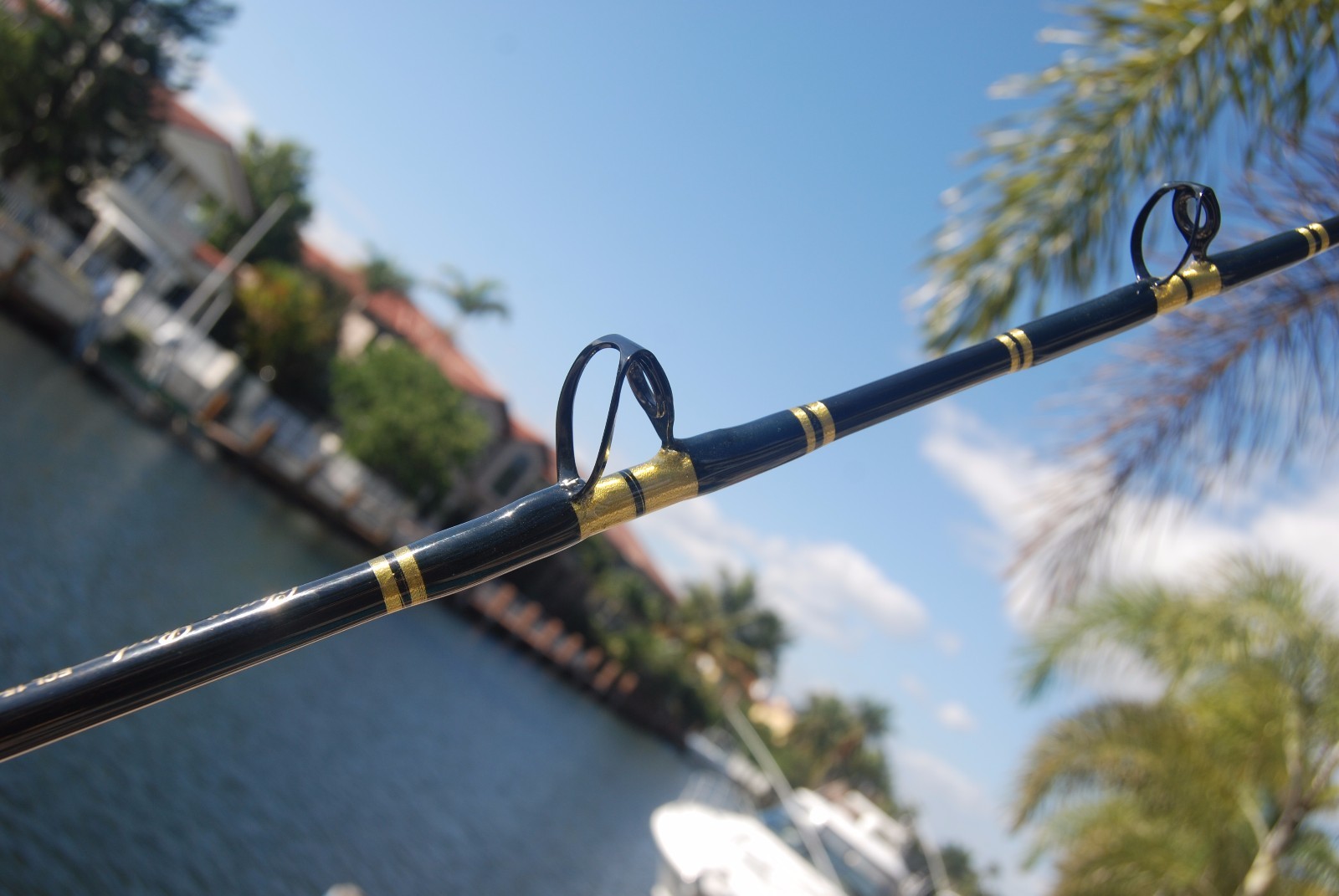 Brand New Shimano TLD 25 Reel w// CHAOS ECL 30-50 Stand-up Rod COMBO