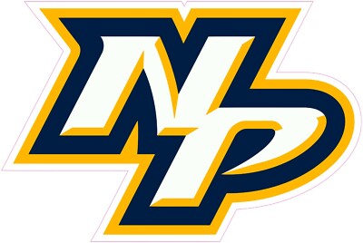 Nashville Predators HTV Heat Press Transfer Vinyl Iron On (NOT A PATCH)