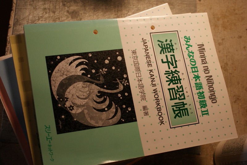 Minna No Nihongo 2: Japanese Kanji Workbook | Livre |