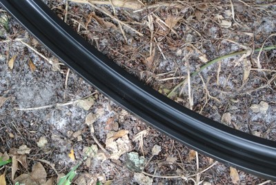 PEARL EXPORT or FORUM SERIES 22