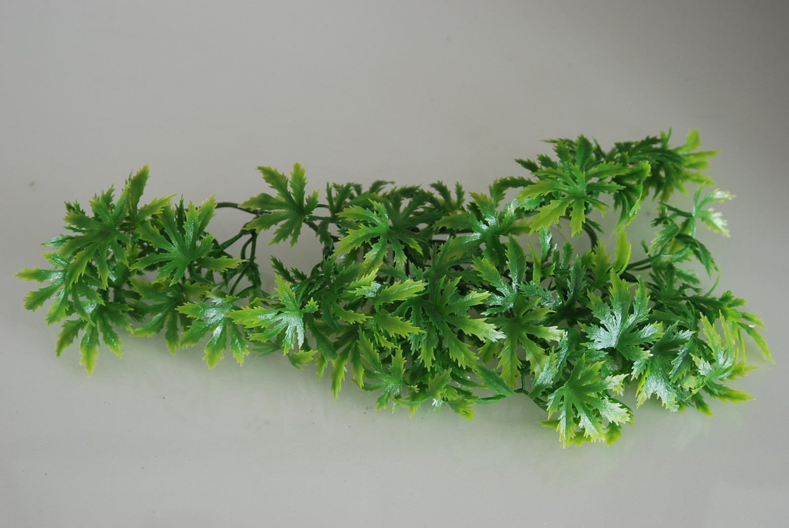 large plastic vivarium