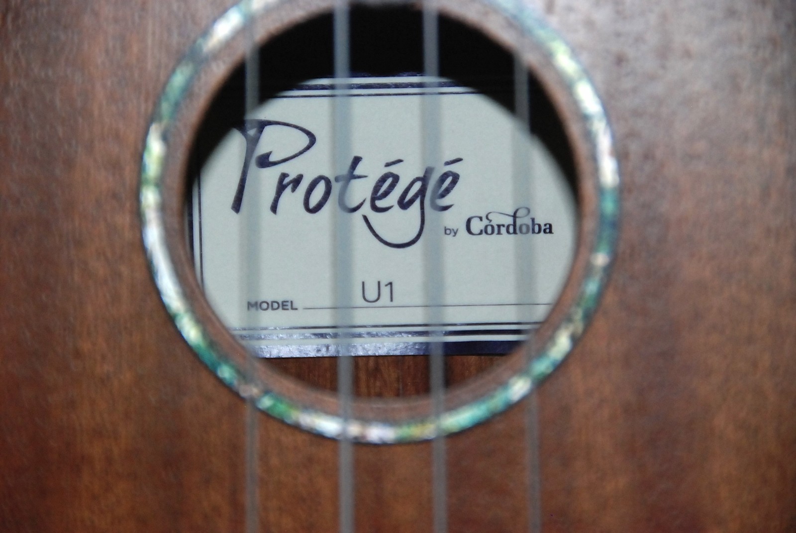 Cordoba Protege U1 Concert Ukulele Natural 174