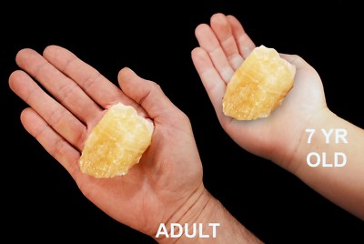 PINEAPPLE CALCITE 2 1/2'' 4-7 Oz  Rocks and Mineral Specimen Raw Healing Crystal