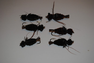 Jointed Olive Dragonfly Nymph SIZE 8 per 3 WIGGLE BUG!