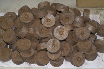 JIFFY 7 peat pellet 50 mm LARGE SIZE 100 pcs seed starting FREE SHIPPING