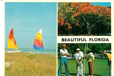 NEW 4x6 Unposted Postcard Florida State Multi-view sailboats tropical scene golf