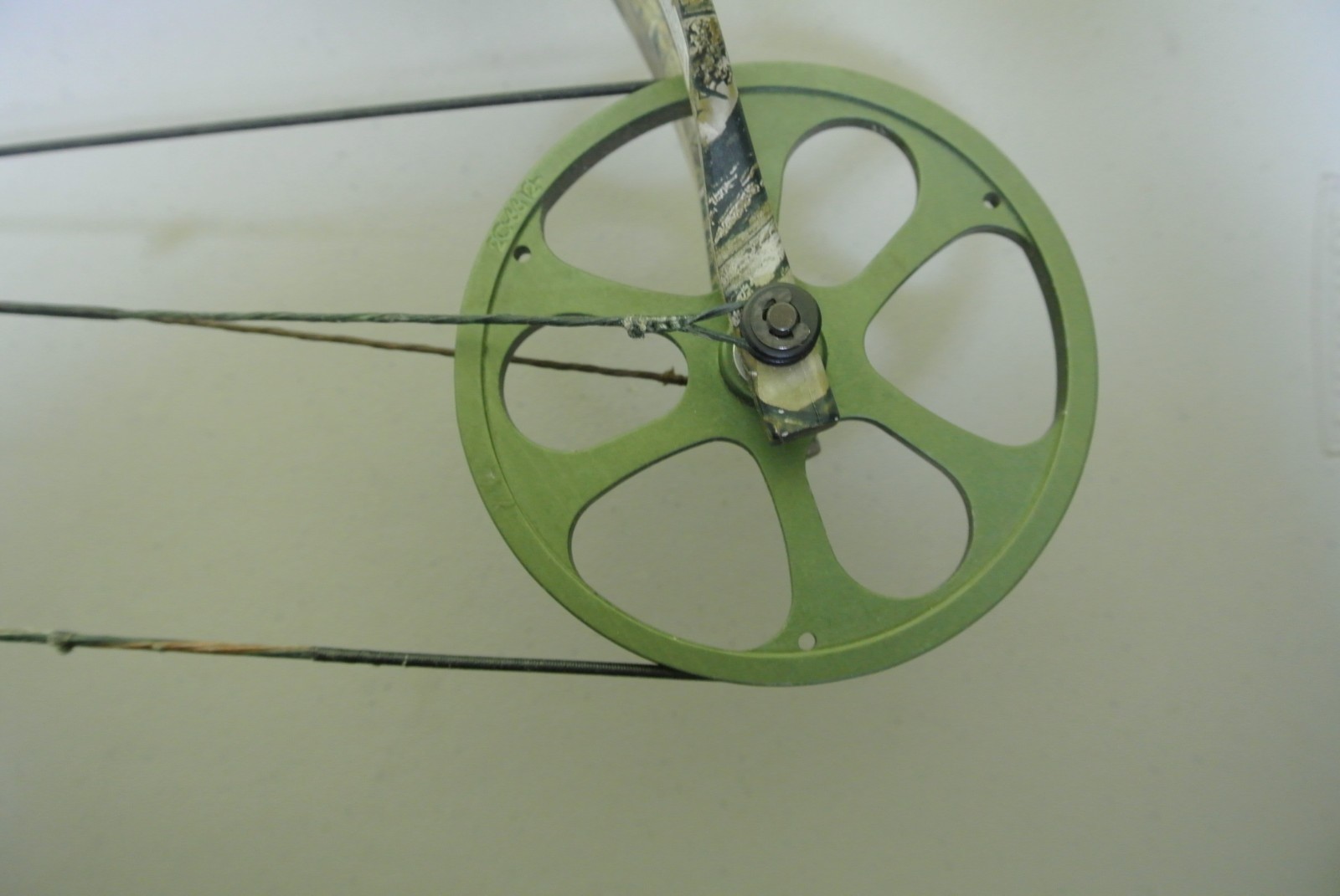 Bear Encounter Compound Bow RH 29