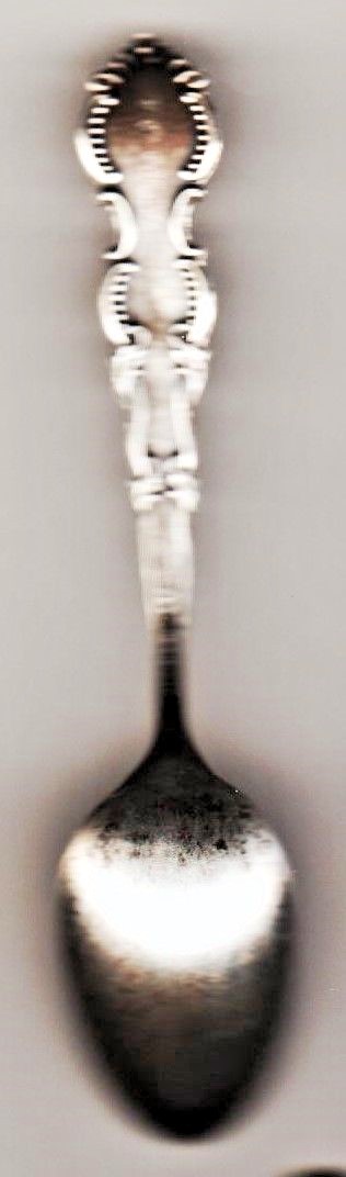 Out on Prarie Roping Steer Cheyenne Wyo Sterling SILVER Souvenir Spoon Wyoming