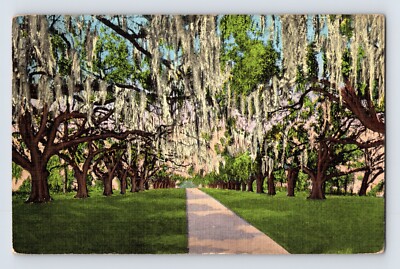 Postcard Louisiana New Orleans LA Versailles Plantation Oaks 1938 Posted Linen