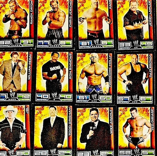 WWE 2008トレーディングカード セット 約180枚以上 $_12.JPG?set_id=880000500F