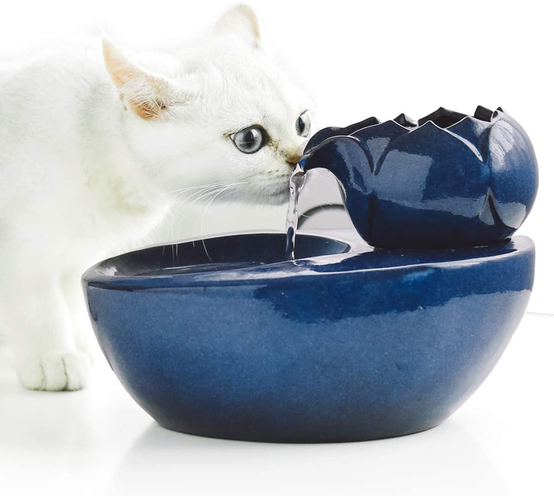 Lotus pet fountain online