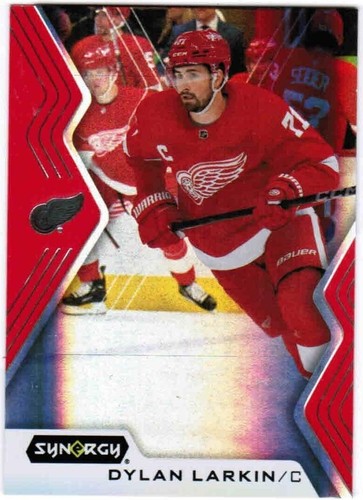 2024-25 Upper Deck Synergy - Dylan Larkin #53