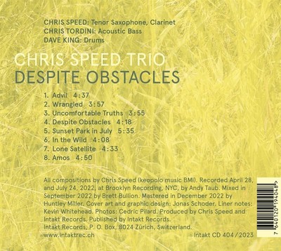 Chris Speed Trio Despite Obstacles (CD) Album (UK IMPORT)