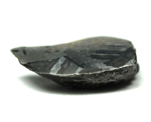 1.952g Erg Chech 002 Ungrouped Achondrite Meteorite - TOP 1.952g Erg Chech 002 Ungrouped Achondrite Meteorite - TOP