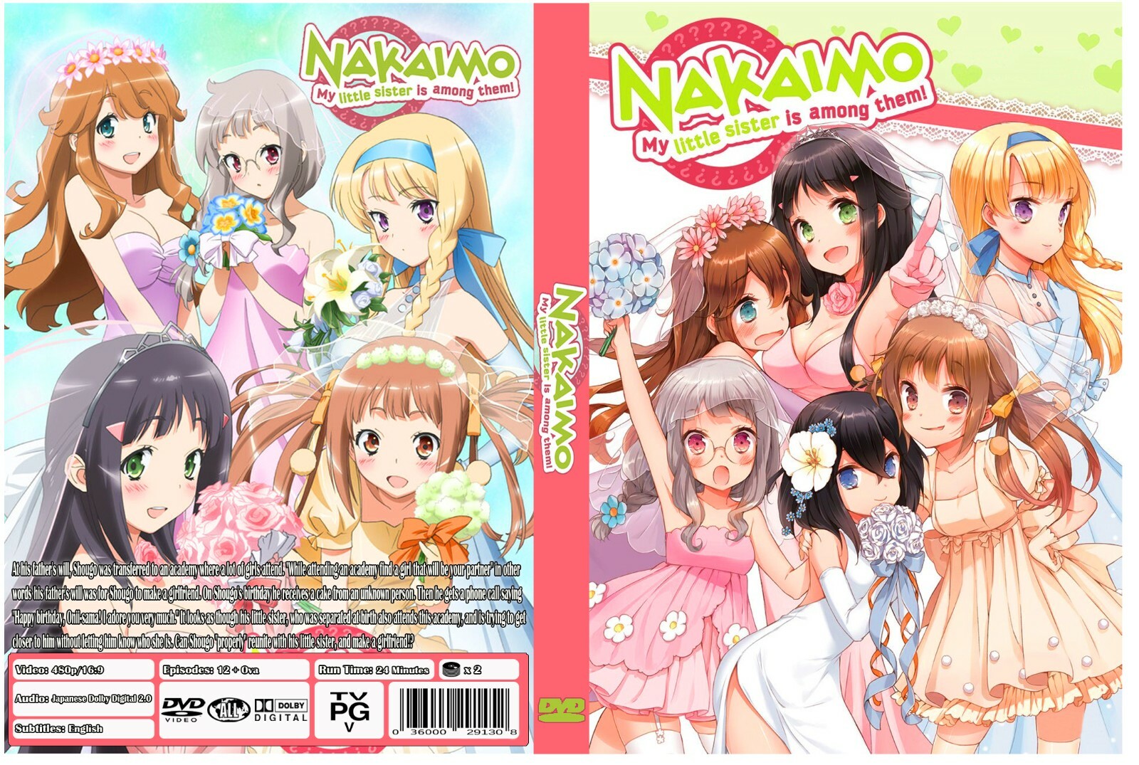 美山加恋　DVD no na kau a kau DVD 美山加恋 2nd DVD no na kau a kau ノナ カウ ア カウ～いまも、