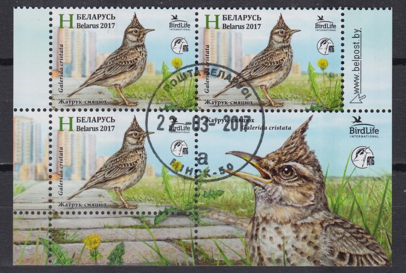 Weissrussland 2017 Vogel Des Jahres Haubenlerche Galerida Cristata Fauna