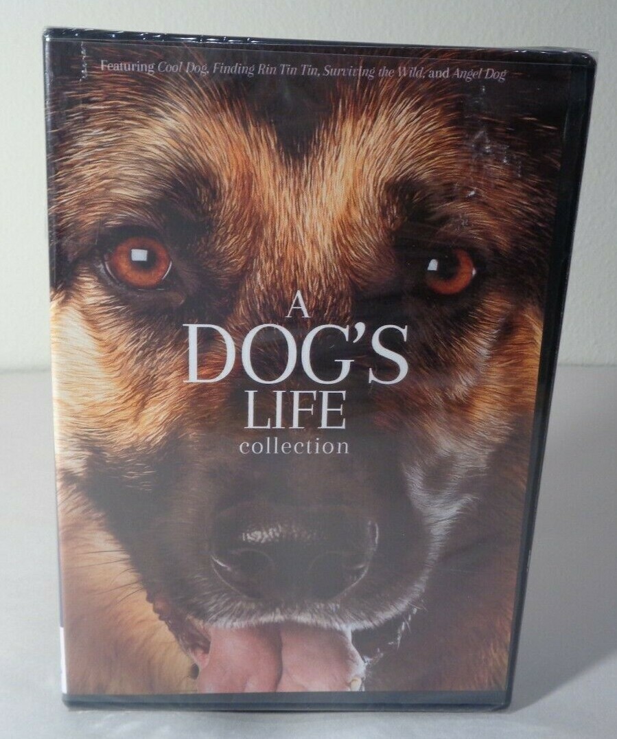 新品未開封 DVD DOG FIGHT/STILL CRAZY II DVD Dog Fight/Still Crazy Ii Z6 | eBay