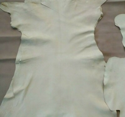 vera pelle dii capra intera vegetale cuoio naturale nabuck beige pellami pellame