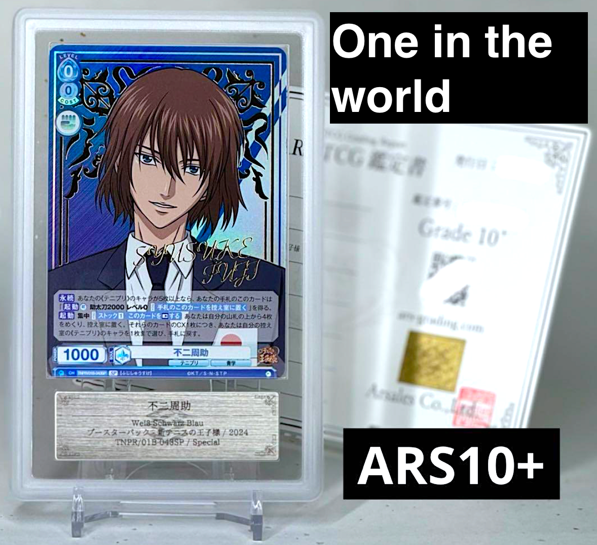 ピィ　ARS10 ピィ ARS10 PSA10鑑定済〕ピィ【AR】{113/108}