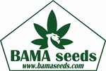 bama.seeds