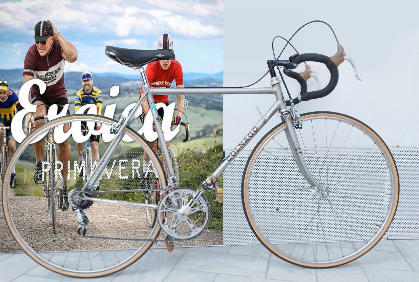 Vélo Colnago Eroica – Cadre Bleu, Taille 52,5H X 53,5L, Freins Routiers, Occasion