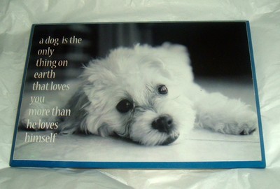 Dog Is Only Thing Loves You More Than Himself WOOD PLAQUE Adorable Puppy Cute