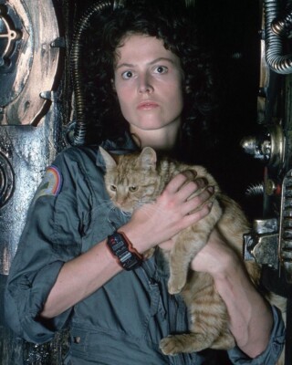 8x10 Glossy Color Art Print Actress Sigourney Weaver #4