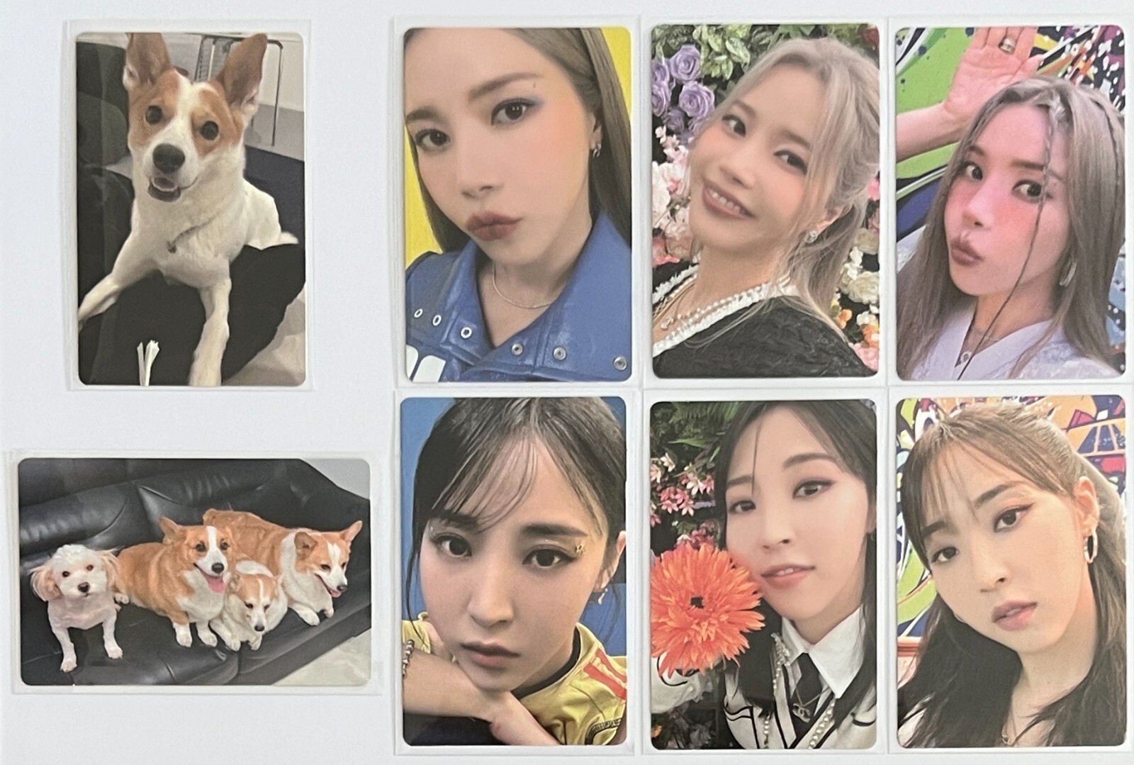 サイン入り MAMAMOO+ Two Rabbits ソラ ムンビョル サイン入り MAMAMOO+ Two Rabbits ソラ ムンビョル - メルカリ
