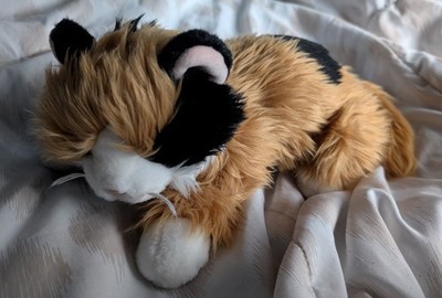 Artikelfoto(s) von einem verifizierten Käufer