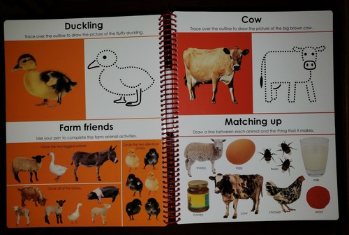 Early Learning Educational Activities Book