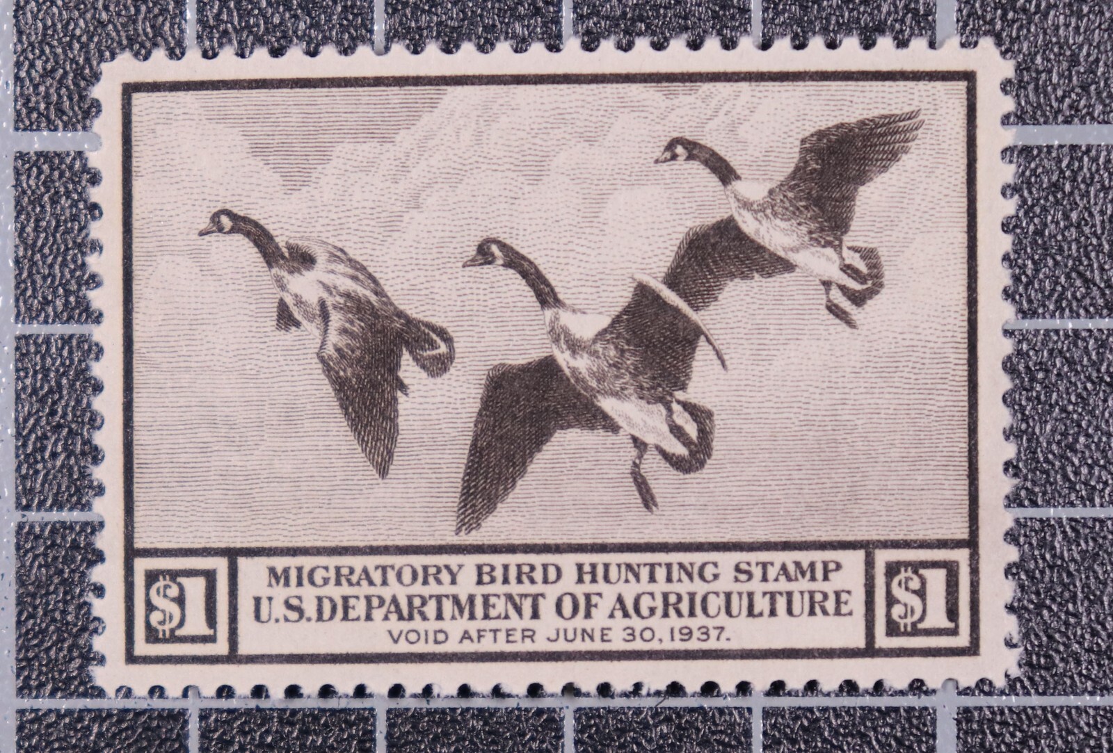 「SALE』P. Willinckii Spur(TC) 【3-3】 NRA M1903 Rifle Series Springfield Coin/Token 1903-1936 WWI