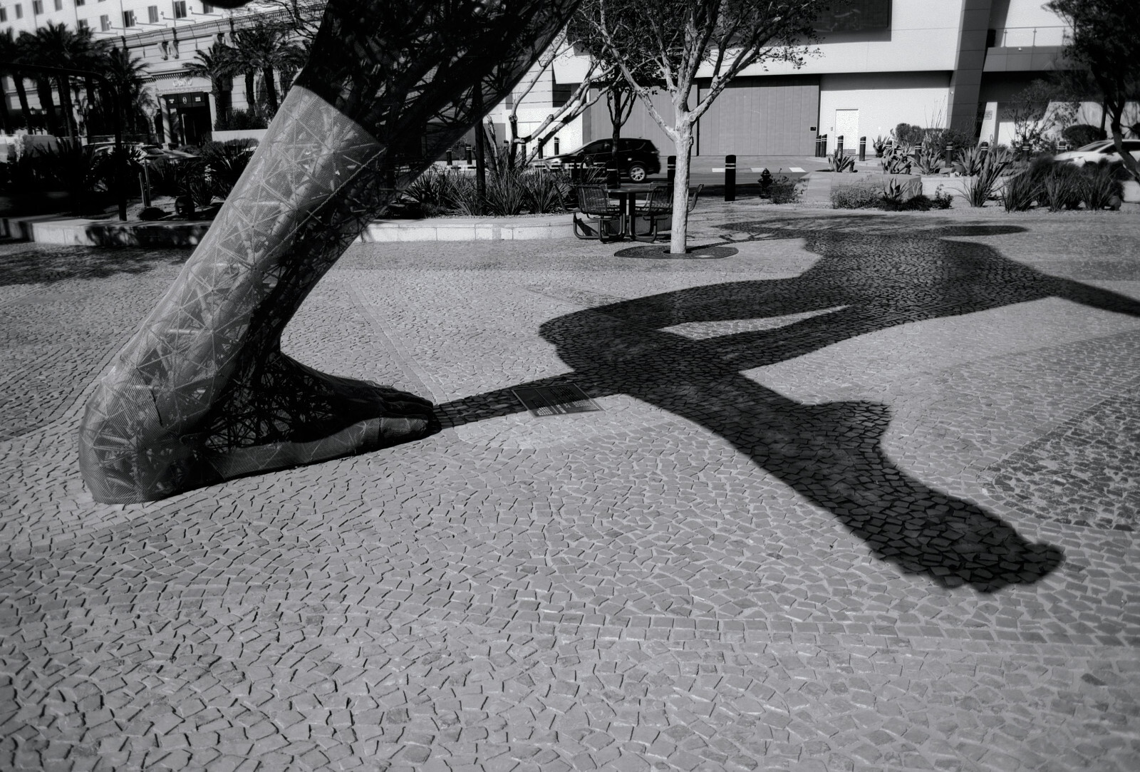 Kodak 5222 35mm Film ~36exp DoubleXX ($8/ea)