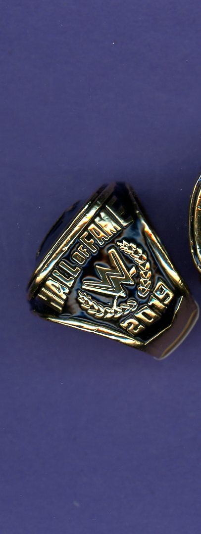2019 WWE Hall of fame Championship Ring  REPLICA Size 11
