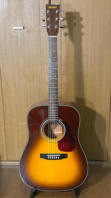 Acoustic Guitar Morris MD-256TS by D.S. Hur Carmine Sunburst