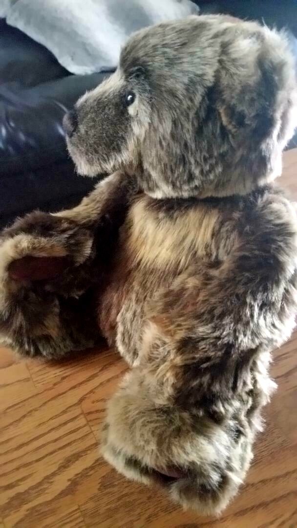 Charlie Bears Wojtek Birthday Bear 2017