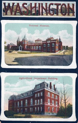 WASHINGTON DC - National Museum And Agricultural Department Building Postcard