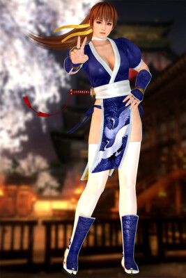 Dead Or Alive 5 Ultimate Kasumi Console Wall Art Home Decor - POSTER 20x30