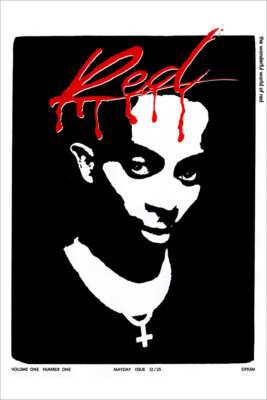 Playboi Carti Whole Lotta Red Music Mixtape Wall Art Home Decor - POSTER 20x30