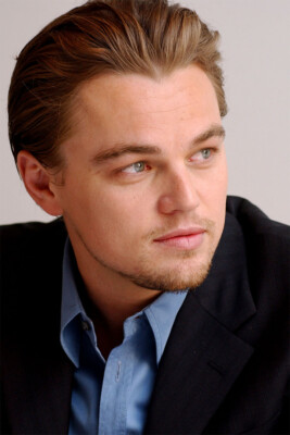 Leonardo Dicaprio Charisma Actor Print Wall Art Home Decor - POSTER 20x30