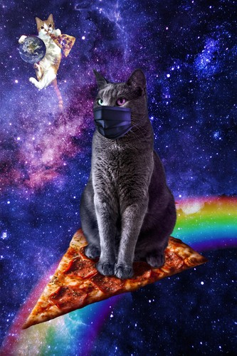 Funny Space Pizza Cats Galaxy Rainbow Art Wall Indoor Room Poster