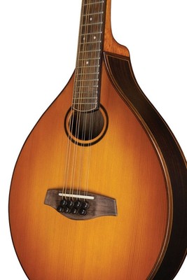 Washburn TCMC43SWK-LTD Timeless Celtic C43 solid reclaimed European Fir