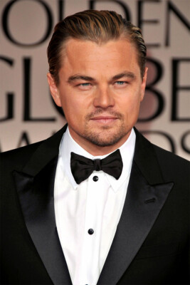 Actor Leonardo Dicaprio In Black Jacket Painting Wall Home Decor - POSTER 20x30